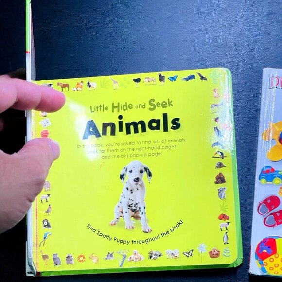 DK Little Hide And Seek Childrens Board 3 Book Set With Surprise Pop-Up - Picture 6 of 14